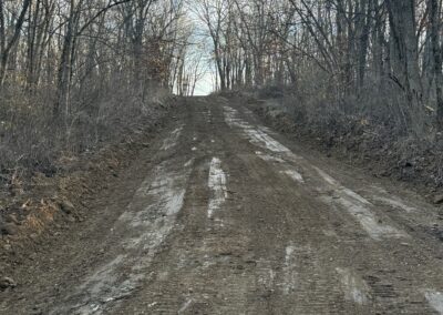 Freshly graded roadway through trees