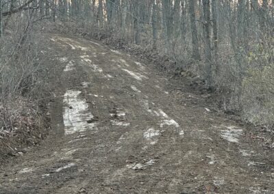 Freshly graded road through wooded area
