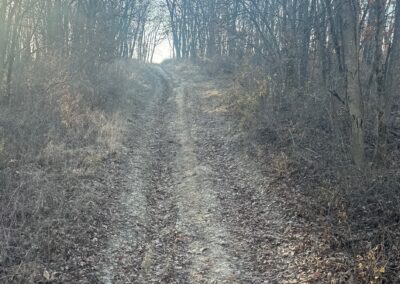 Roadway with erosion problems before grading
